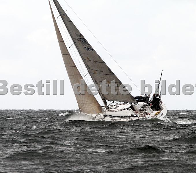 ORCi 217.jpg
